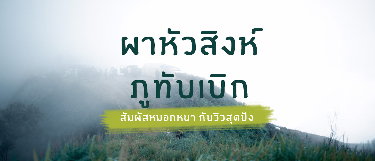 cover " ผาหัวสิงห์ " แลนด์มาร์คแห่งใหม่ของภูทับเบิก สัมผัสหมอกหนากับวิวสุดปัง