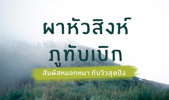 Cover " ผาหัวสิงห์ " แลนด์มาร์คแห่งใหม่ของภูทับเบิก สัมผัสหมอกหนากับวิวสุด...