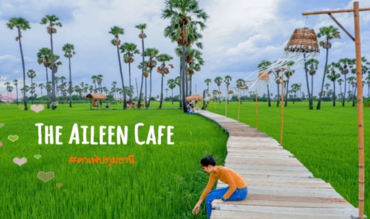 cover The Aileen Café 🌿 คาเฟ่ปทุม วิวทุ่งนาที่มาพร้อมกับต้นตาลเกร๋ๆ