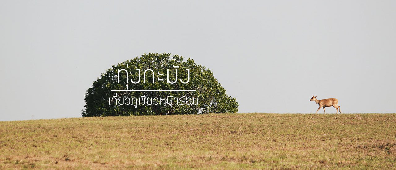 cover กลมกลิ้ง :: ตามล่าฝูงกวาง เคว้งคว้าง ณ ทุ่งกะมัง ฉบับเว่อร์วัง UNSEEN !!