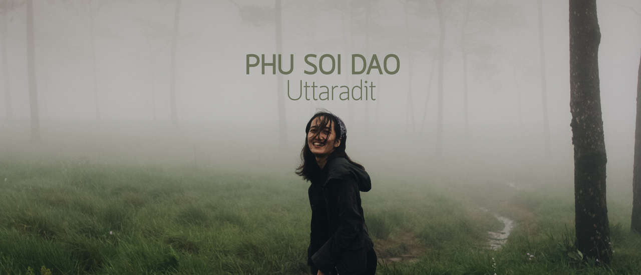 cover "ภูสอยดาว" เจอหมอก ดอกไม้ และสายฝน