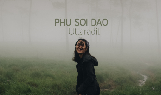 cover "ภูสอยดาว" เจอหมอก ดอกไม้ และสายฝน