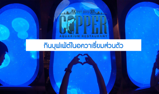 cover เปิดประสบการณ์ใหม่ กินบุฟเฟ่ต์ในอควาเรี่ยมส่วนตัว Copper Aquarium Restaurant