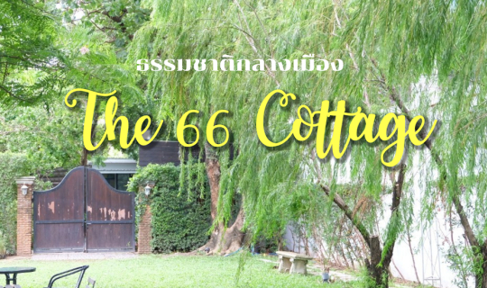 Cover The 66 cottage cafe ที่ซุกซ่อนอยู่แถว BTS อุดมสุข...