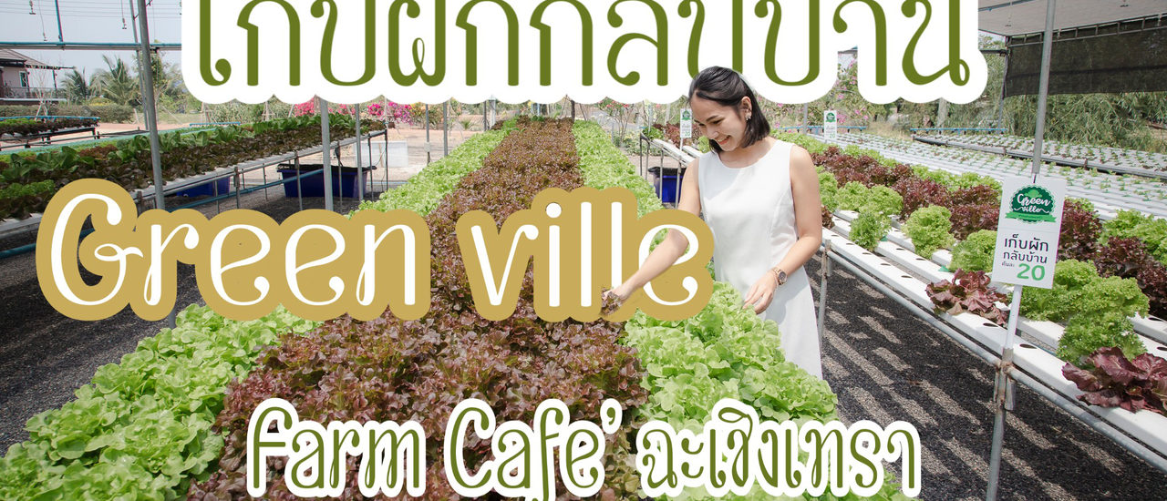 cover กรีนวิลล์ ฟาร์มคาเฟ่ ฉะเชิงเทรา 🌿 ร้านอาหารที่ดีต่อใจ และตับไตไส้พุง🌿