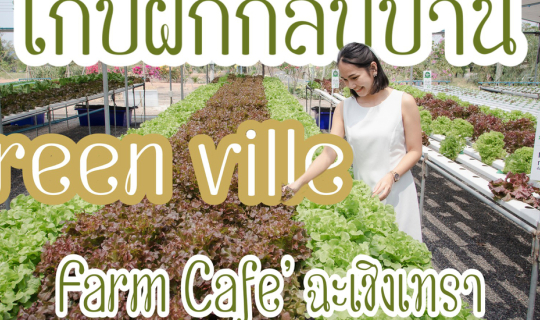 cover กรีนวิลล์ ฟาร์มคาเฟ่ ฉะเชิงเทรา 🌿 ร้านอาหารที่ดีต่อใจ และตับไตไส้พุง🌿