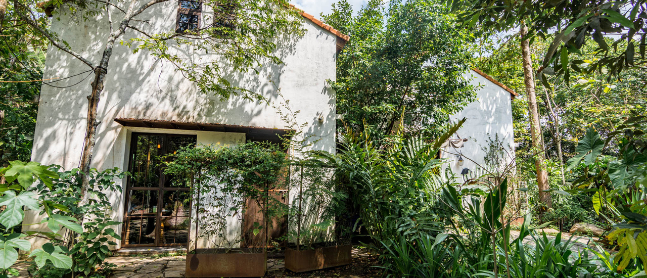 cover Pitta's House คาเฟ่ในป่า