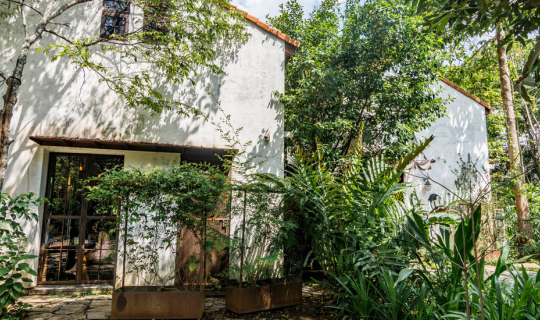 cover Pitta's House คาเฟ่ในป่า