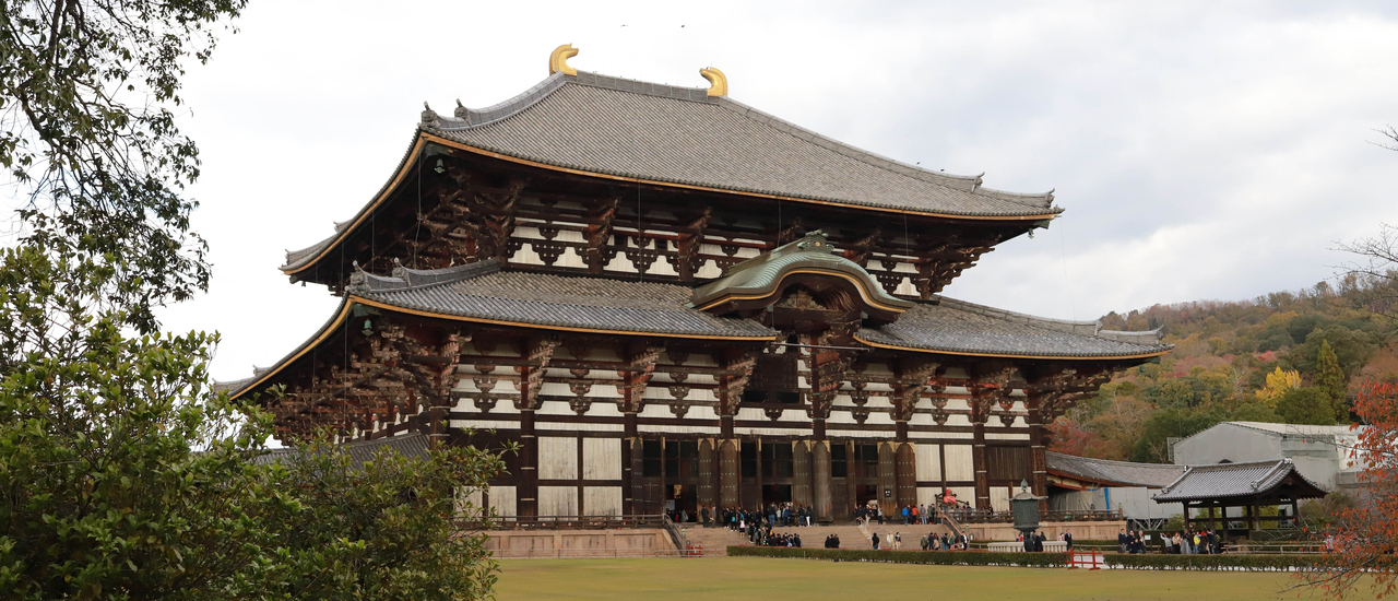 cover NARA มาหากวางน้อย & Todaiji Temple - Autumn in Kansai 9 DAY EP.4
