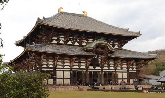 cover NARA มาหากวางน้อย & Todaiji Temple - Autumn in Kansai 9 DAY EP.4