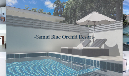 cover Samui Blue Orchid พลูวิลล่าส่วนตัวสุดหรูในสมุย