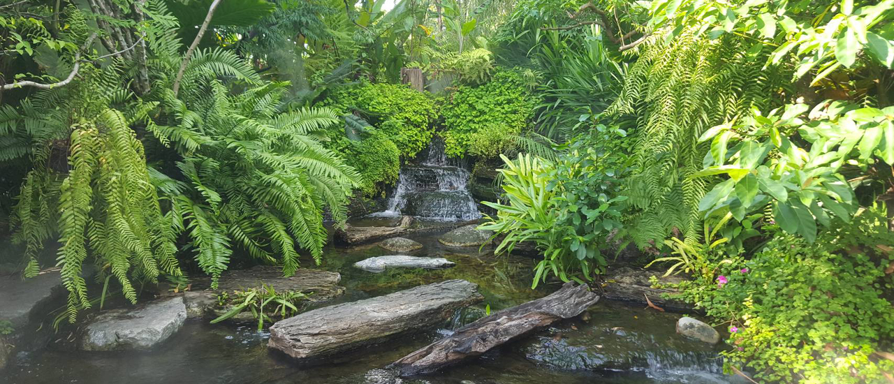 cover One day trip @ นนทบุรี Episode 1 (4/4) , Foreste’ cafe by Anna-Nava