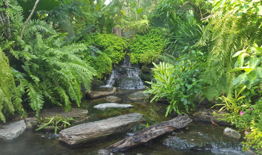 Cover One day trip @ นนทบุรี Episode 1 (4/4) , Foreste’ cafe by Anna-Nava...