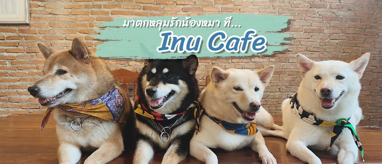 cover มาตกหลุมรักน้องหมา ที่... Inu Cafe