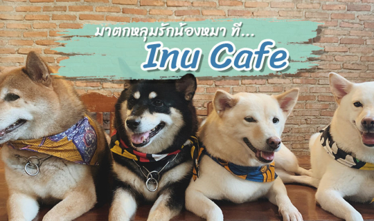 Cover มาตกหลุมรักน้องหมา ที่... Inu Cafe...