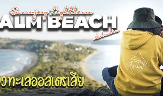 cover เที่ยวทะเลออสเตรเลีย Palm beach เดินขึ้นเขาถ่ายดาว