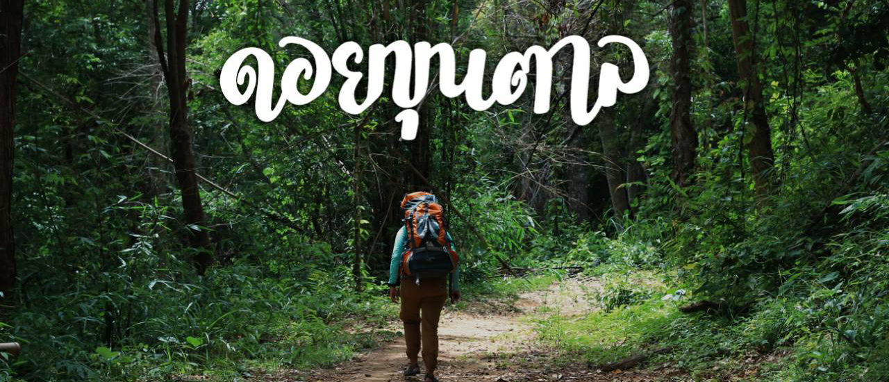 cover อุทยานแห่งชาติดอยขุนตาล : คนเดียวกับการนั่งรถไฟไปกางเต็นท์บนดอย