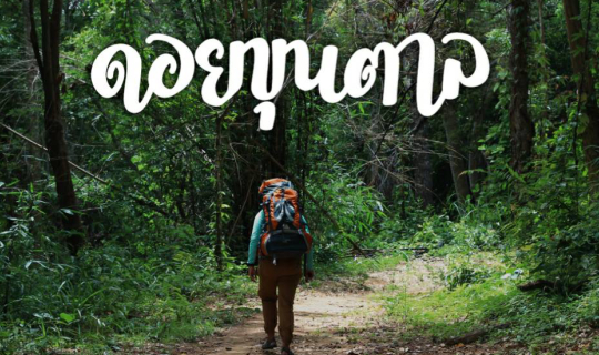 cover อุทยานแห่งชาติดอยขุนตาล : คนเดียวกับการนั่งรถไฟไปกางเต็นท์บนดอย