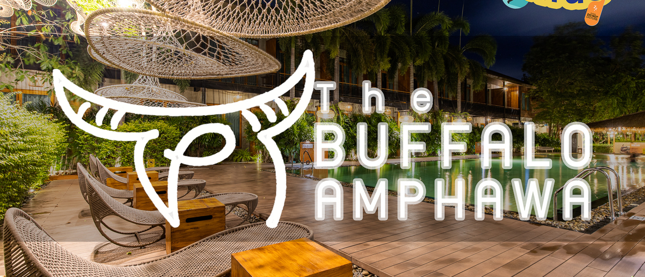cover The Buffalo Amphawa ที่พักสวยในอัมพวา ที่มีแรงบันดาลใจจาก "ควาย"