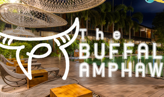 cover The Buffalo Amphawa ที่พักสวยในอัมพวา ที่มีแรงบันดาลใจจาก "ควาย"