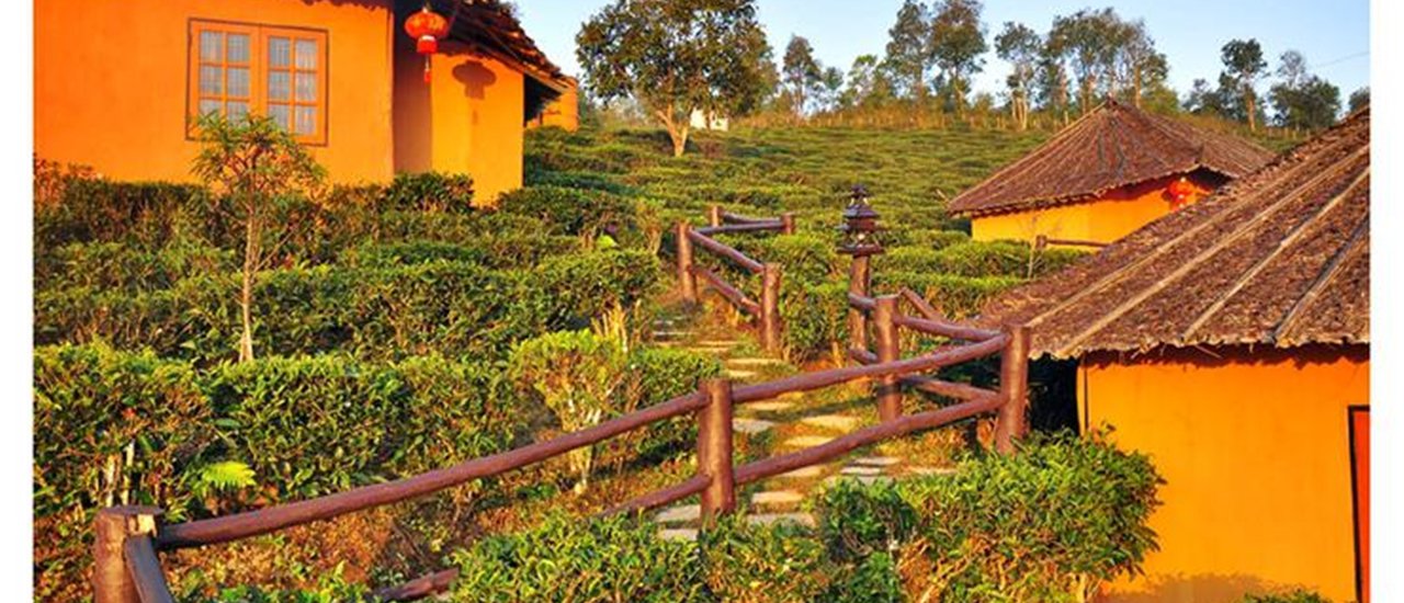 cover ลิ้มรสชาพันธ์ดี ดื่มด่ำกับสายหมอก ในรีสอร์ทท่ามกลางไร่ชา@ลีไวน์ รักไทย รีสอร์ท by…Malang ลั้นลา