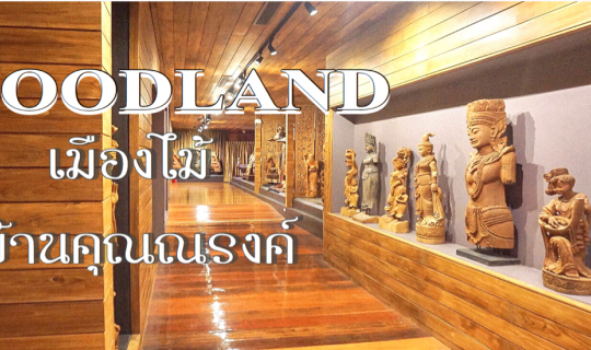 cover ✨🍂ศิลปะบนงานไม้ ที่ Woodlandเมืองไม้ บ้านคุณณรงค์ นครปฐมนี่เอง🌿✨