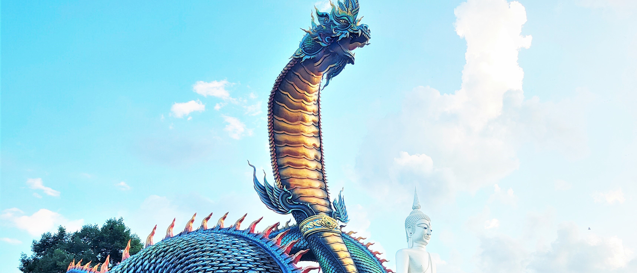 cover ชมพญานาคสุดอัศจรรย์ ที่ภูมโนรมย์ จ.มุกดาหาร