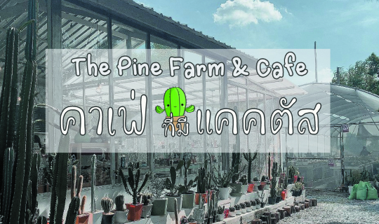 Cover คาเฟ่ที่มีแคคตัส :  The Pine Farm & Cafe ร้านกาเเฟริมคลองลัดมะยม...