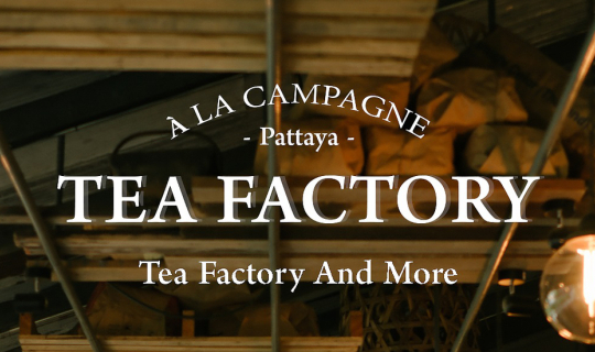 Cover ช่วงเวลาเหงาๆ คิดไปคิดมามากินเค้กที่ " Tea factory and More " ดีกว่า...