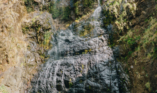 Cover ตาดหมอก2วัน1คืน...