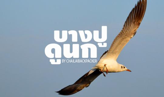 cover #บางปูดูนก :: วันสบายเที่ยวใกล้กรุง ณ สถานตากอากาศบางปู