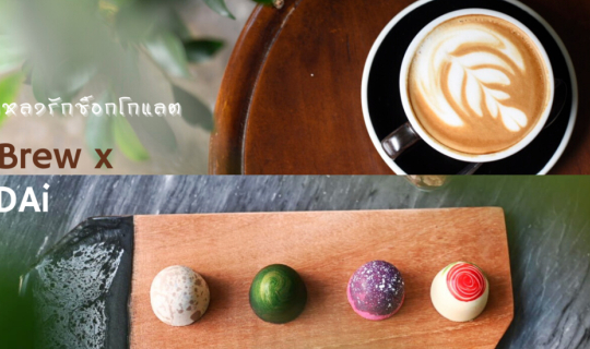 Cover Dou-Brew x PARADAi คาเฟ่เมืองเก่าภูเก็ตที่ขายคราฟท์ช็อกโกแลต...