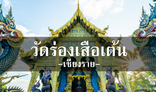 Cover สีน้ำเงินตระการตา กับ วัดร่องเสือเต้น...