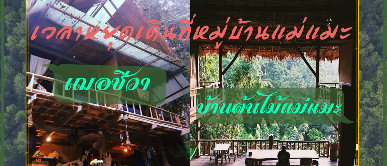 cover เฌอชีวา :: บ้านต้นไม้แม่แมะ