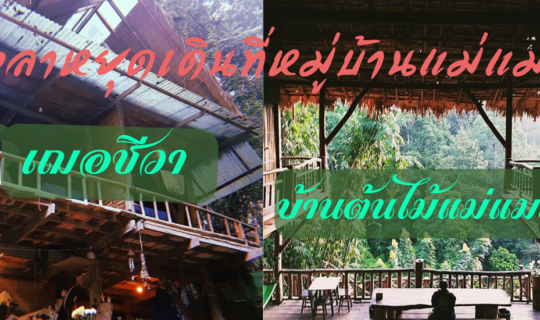 Cover เฌอชีวา :: บ้านต้นไม้แม่แมะ...