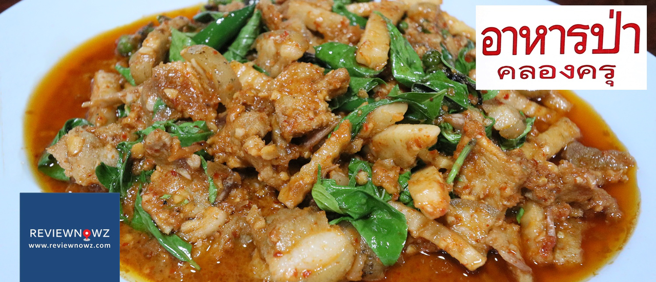 cover หมูป่าผัดเผ็ดอร่อยระดับประเทศ! กับตำนานอาหารป่า 50 ปีแห่งตำบลท่าทรายที่ร้านอาหารป่าคลองครุ @ สมุทรสาคร