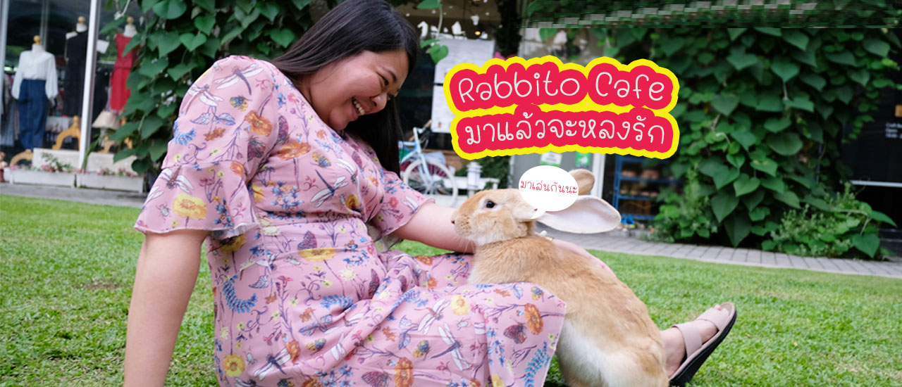 cover Rabbito Cafe คาเฟ่กระต่าย มาแล้วจะหลงรัก