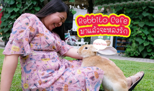 cover Rabbito Cafe คาเฟ่กระต่าย มาแล้วจะหลงรัก