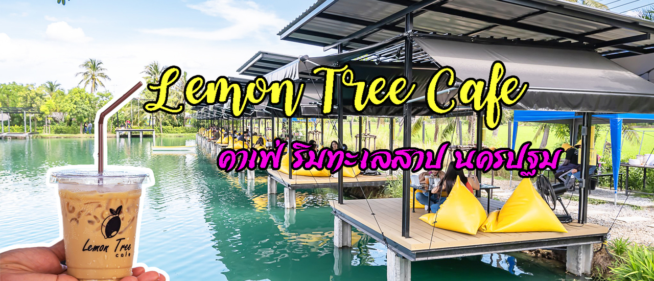 cover Lemon Tree Cafe คาเฟ่ริมทะเลสาป สามพราน นครปฐม กลางธรรมชาติที่สวยงาม