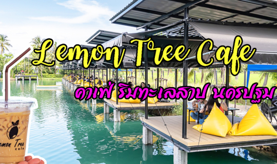 cover Lemon Tree Cafe คาเฟ่ริมทะเลสาป สามพราน นครปฐม กลางธรรมชาติที่สวยงาม