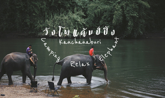 Cover วังโพแค้มป์ปิ้ง...