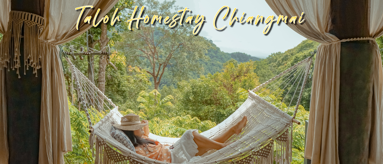 cover Stay with me at " Taloh Homestay "  ทโล้ โฮมสเตย์ เชียงใหม่