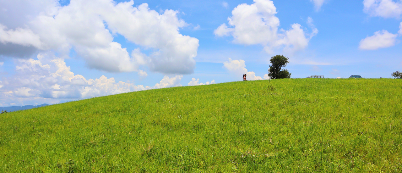 cover สะวันนาเชียงใหม่......ดอยแม่โถ แลนด์มาร์กแห่งใหม่มีคลิปเส้นทางให้ชมค่ะ^^