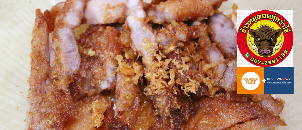 cover ชิมสาระพัดของทอดแบบ Delivery จากร้าน ข้าวหมูทอดกู๋หว่าไจ๋ @ เพชรเกษม 4