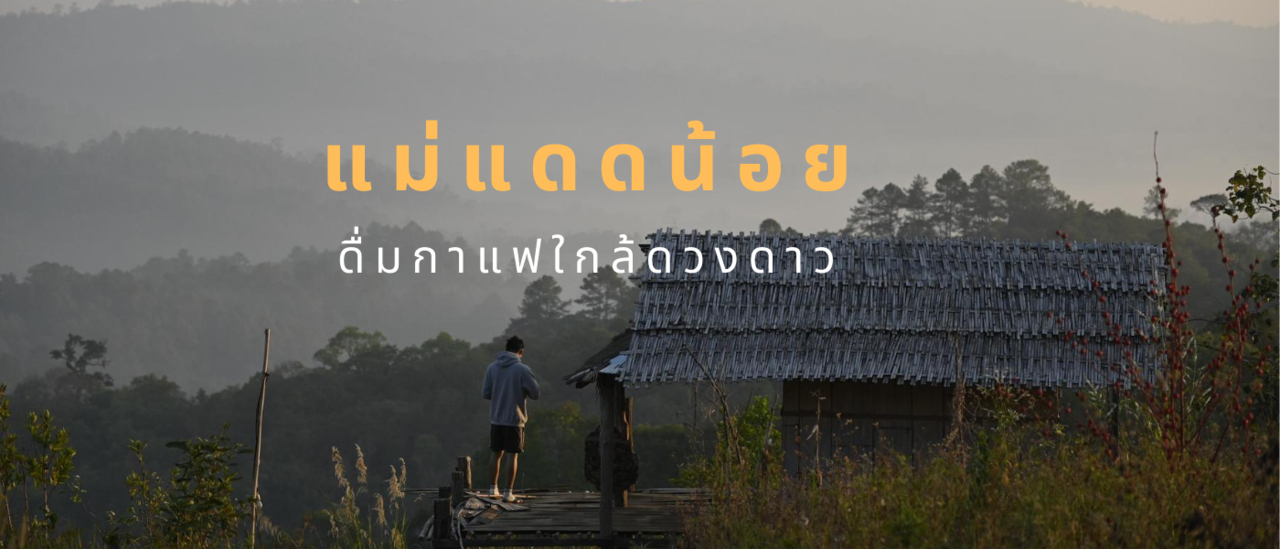 cover แม่แดดน้อย ดื่มกาแฟใกล้ดวงดาว