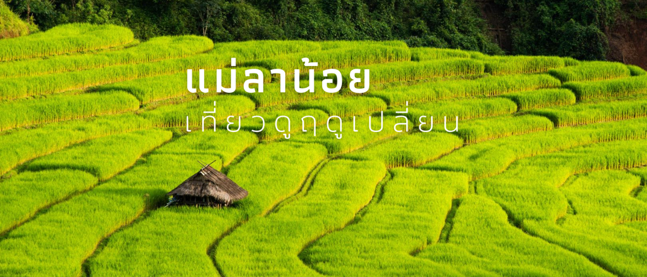 cover เที่่ยวแม่ลาน้อย ดูฤดูเปลี่ยน