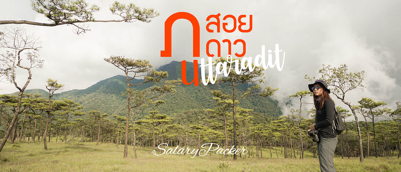 cover ภูสอยดาว ก่อนดอกไม้บาน