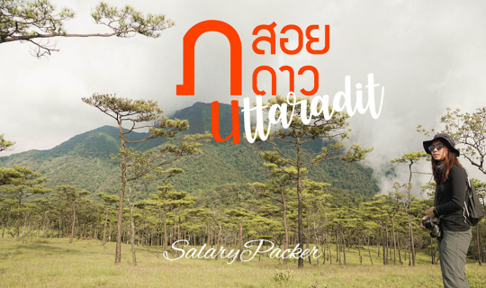 cover ภูสอยดาว ก่อนดอกไม้บาน