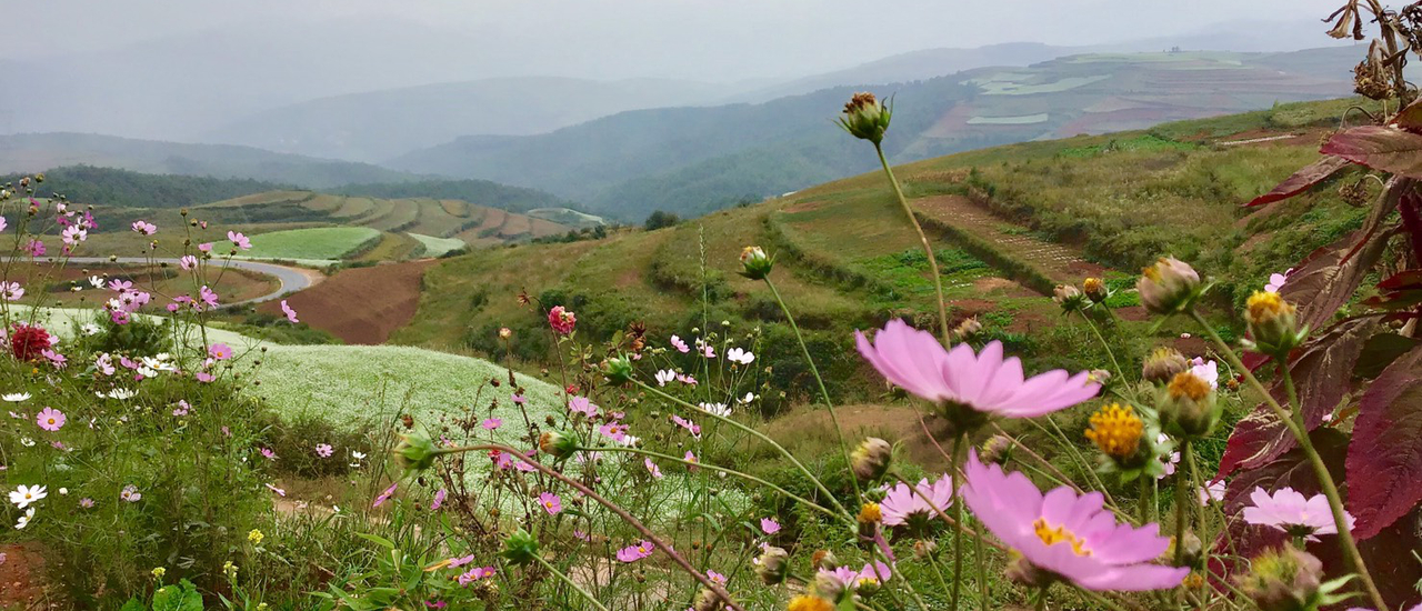 cover รีวิว พาพ่อ แม่เที่ยวกับ ทัวร์คุนหมิง จีน ราคาแค่ 10K เที่ยวได้จริงเหรอ จะโดนเทไหม บอกเลยว่าคุ้มค่ามากๆ