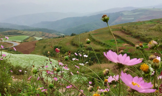 cover รีวิว พาพ่อ แม่เที่ยวกับ ทัวร์คุนหมิง จีน ราคาแค่ 10K เที่ยวได้จริงเหรอ จะโดนเทไหม บอกเลยว่าคุ้มค่ามากๆ